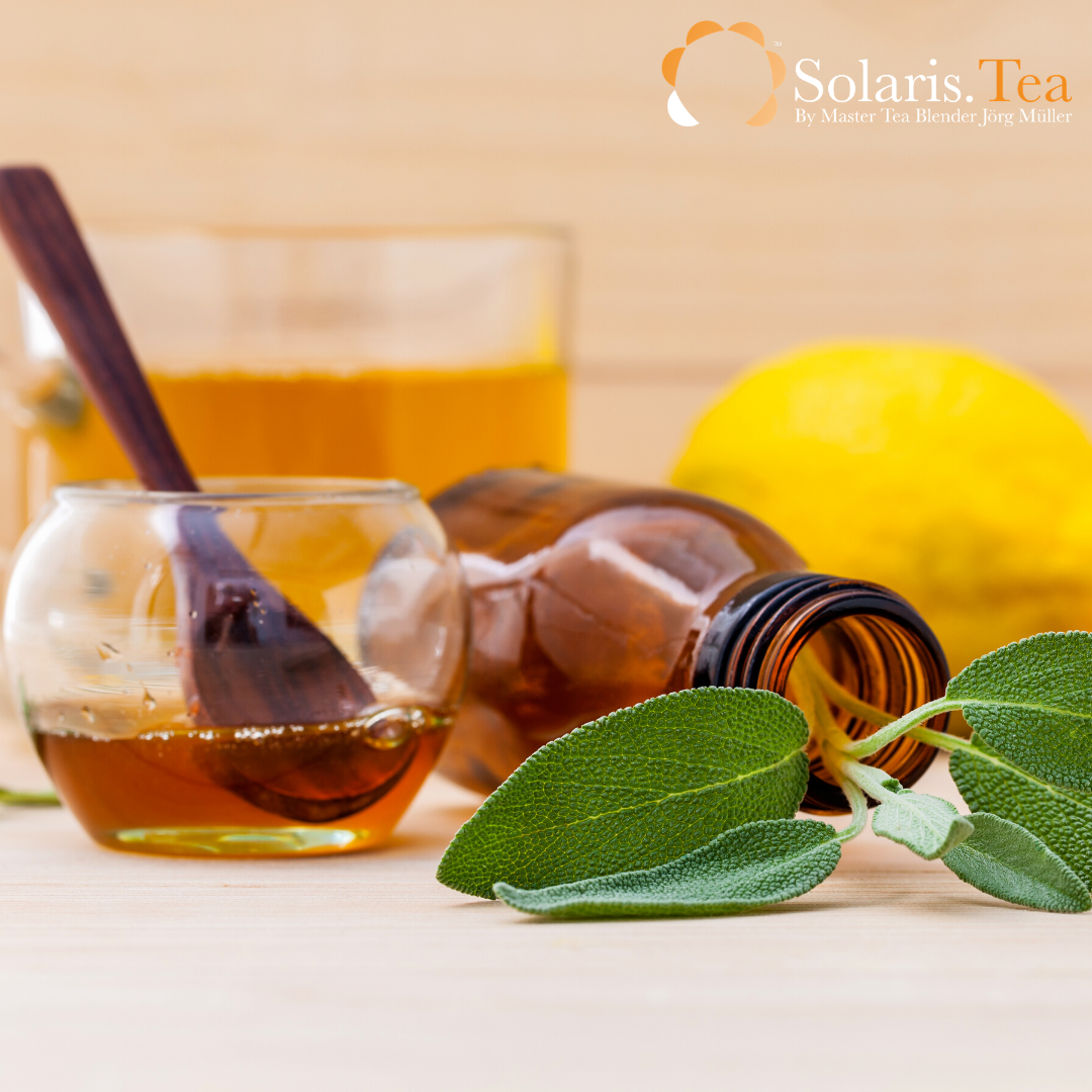 COVID-19 – The Relationship of your Nervous System to the Immune System – a Medical Herbalist Perspective