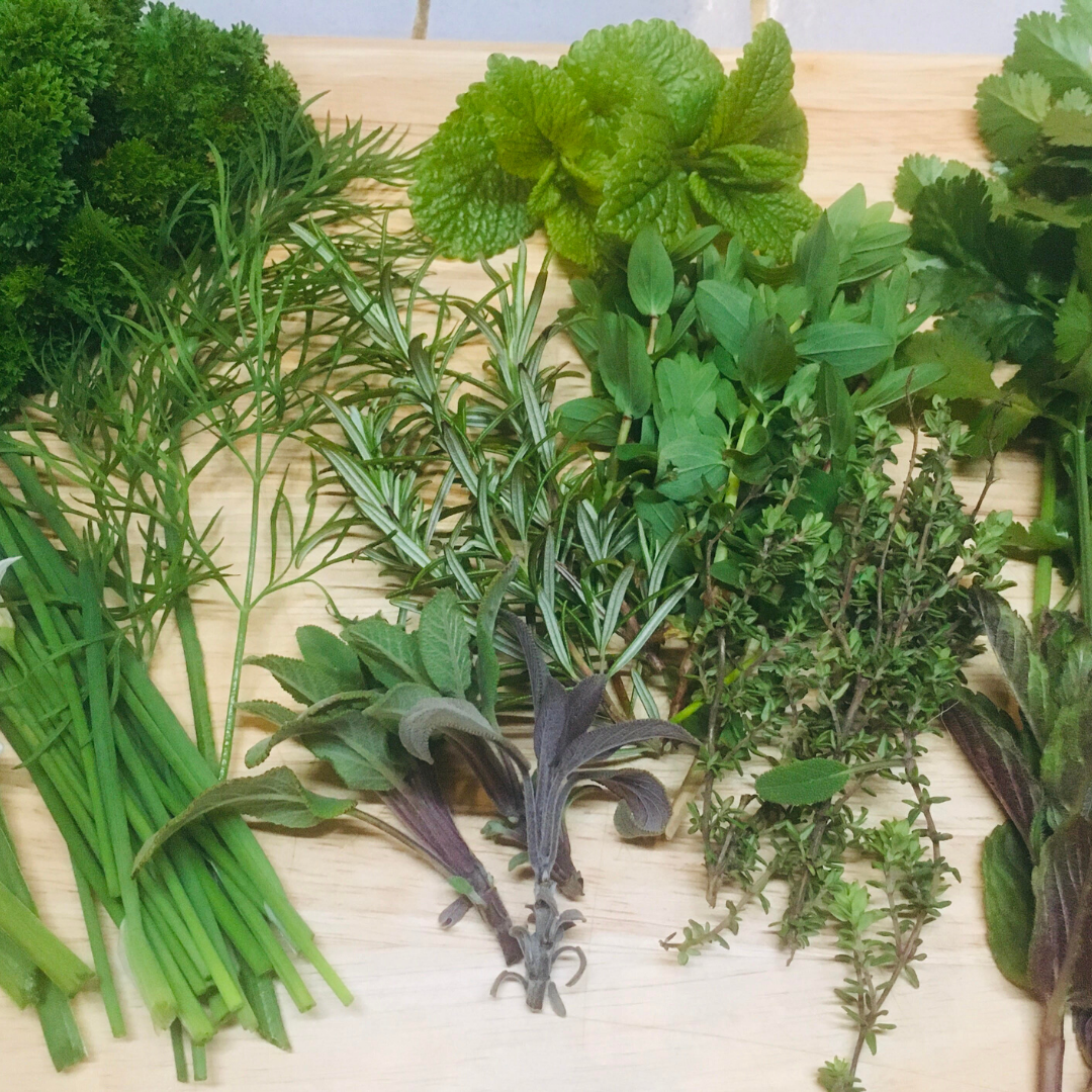 How to make a Herb Garden