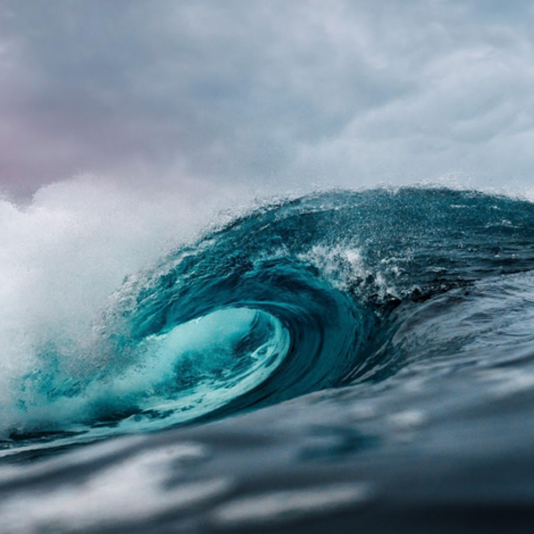 Your Voice Is a Gift