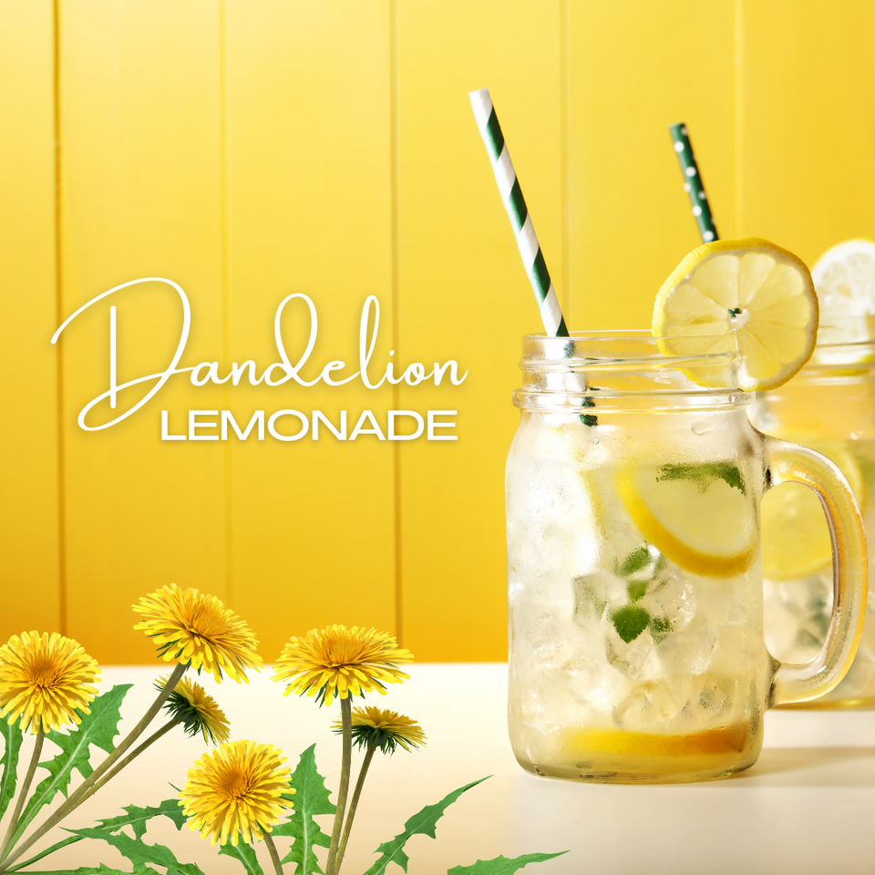 Dandelion Lemonade Recipe