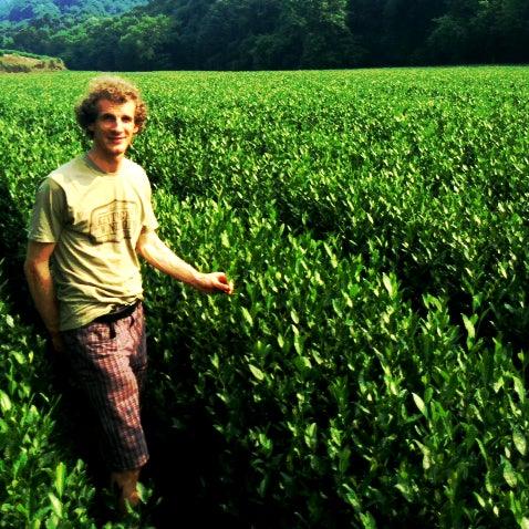 Take a trip with Master Tea Blender Jörg to the Longjing Plantation in China