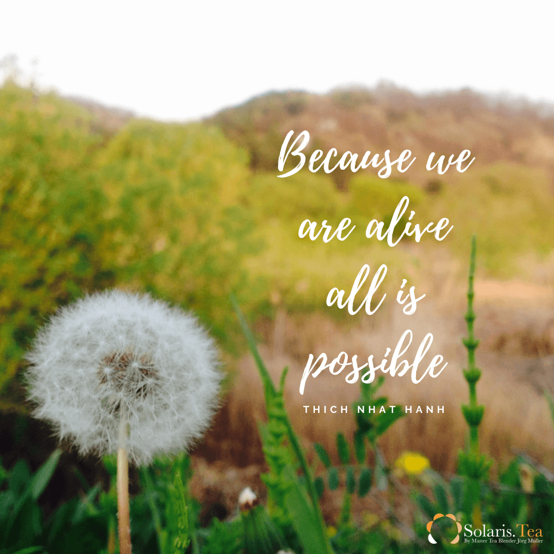 The Power of Forgiveness