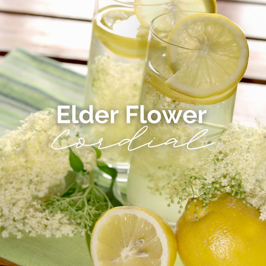 Delicious and Easy Elderflower Rose Cordial Recipe