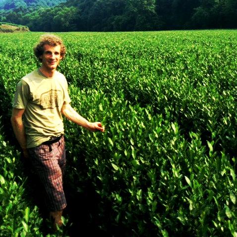 Take a trip with Master Tea Blender Jörg to the Longjing Plantation in China