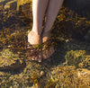 Solaris Foot Baths by Karin Mueller