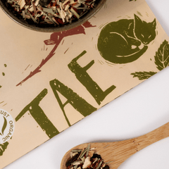 Tae agus Teanga: An Afternoon of Tea and Chats