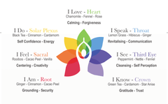 I Speak - Throat Chakra Organic Pyramid Teabags - Solaris Tea