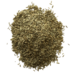 Fennel Seed (Foeniculum Fructus) Org. 500g - Solaris Tea
