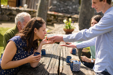 Botanicals Foundation Course