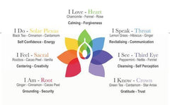 I Am - Root Chakra Org. BeBetter Teabag Pyramid Bag 100x2g CHK110 - Solaris Tea